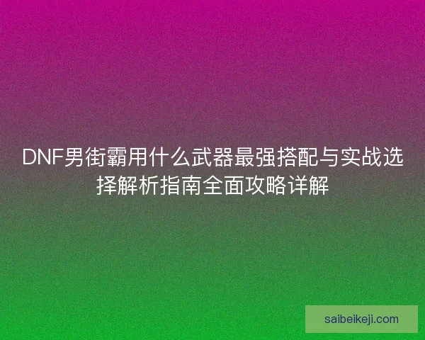 DNF男街霸用什么武器最强搭配与实战选择解析指南全面攻略详解