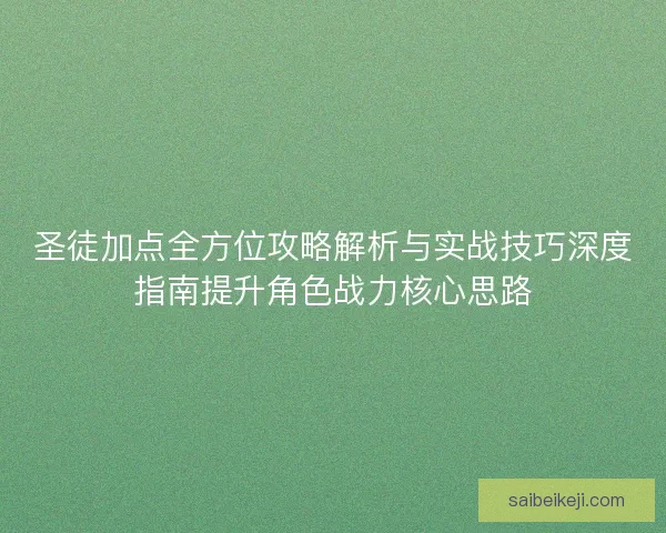 圣徒加点全方位攻略解析与实战技巧深度指南提升角色战力核心思路