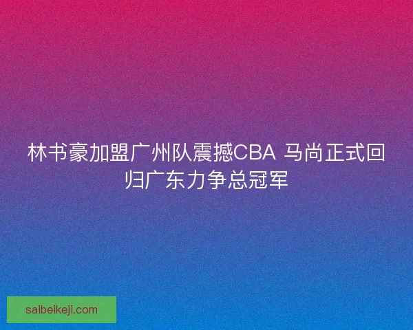 林书豪加盟广州队震撼CBA 马尚正式回归广东力争总冠军